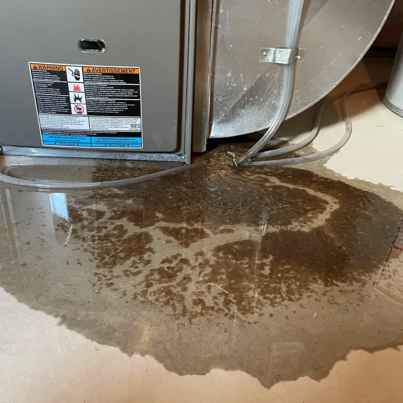 Appliance Leak Cleanup in Kellyville, OK